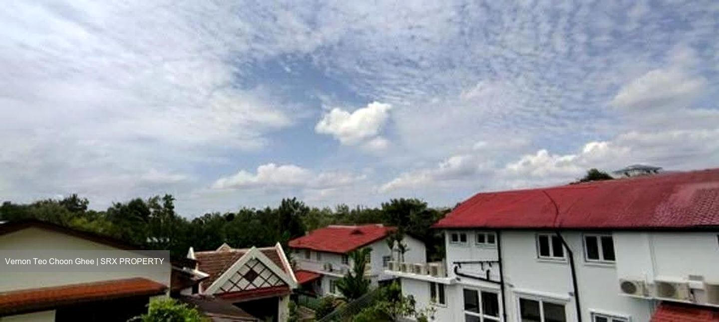 Leedon Park (D10), Detached #619483841